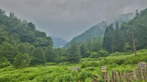 Timelabs clouds float over the mountains Video stock 169983912
