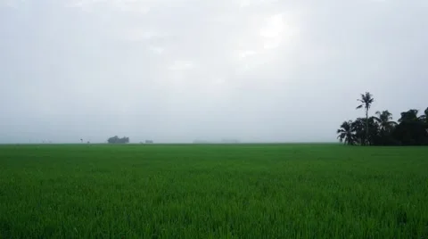 Timelapes of moving clouds in Sabak Bernam, Selangor Stock Footage 58348585