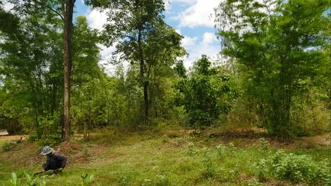 Timelapes white cloud moving. Stock Footage 109753834