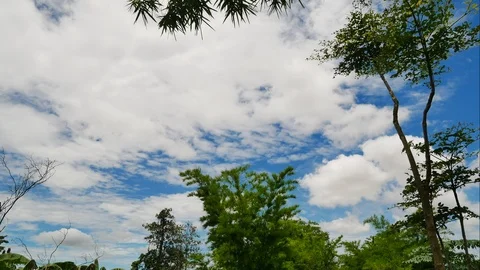Timelapes white cloud moving. Stock Footage 109753836