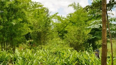 Timelapes white cloud moving. Stock Footage 109753858