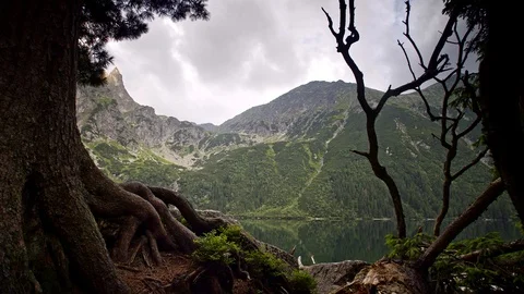 Timelaps camera slide of lake and mountains among the trees 4k HDR H264 Stock Footage 85567307