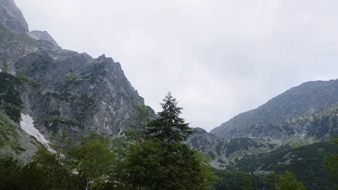 Timelaps camera slide to mountain peaks in the valley among pine trees 4k HDR H2 Stock Footage 88324429