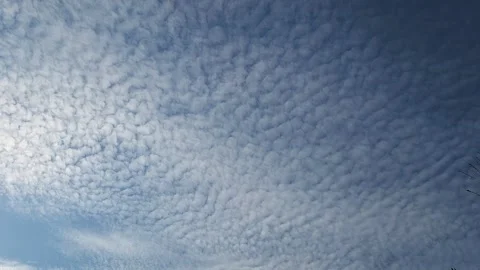 Timelaps of a celestial sky with white clouds in winter Stock Footage 300290126