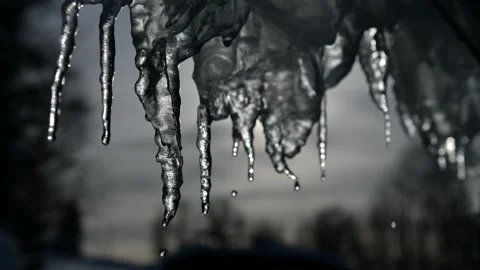 Timelaps of dripping icicles on a warm bright sunny day. Melting icicle on a Stock Footage 147148519