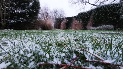Timelaps of falling snow in the grass Video stock 147668519