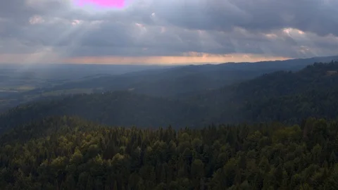 Timelaps of forest showing the rays of the sun piercing through the clouds 4k HD Stock Footage 88269493