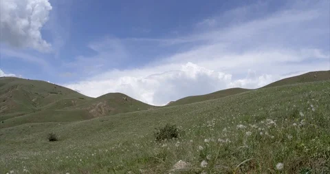 Timelaps grass waving in the wind and clouds flying through the blue sky Stock Footage 90839191