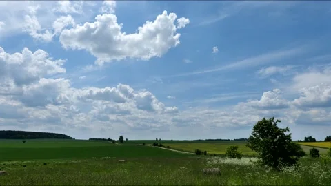 Timelaps Landscape, a path among the fields, a blue sky with white  clouds Stock Footage 156503331