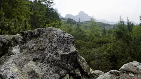 Timelaps of mountain stone in the midst of a forest 4k HDR H264 Stock Footage 88320714