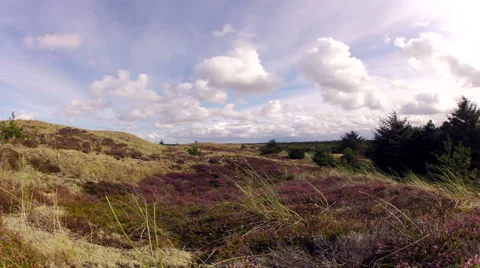 Timelaps over heather Stock Footage 45508258