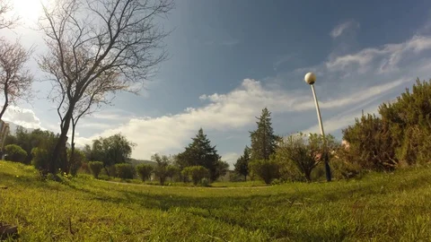 Timelaps in the park Stock-Footage 129690106