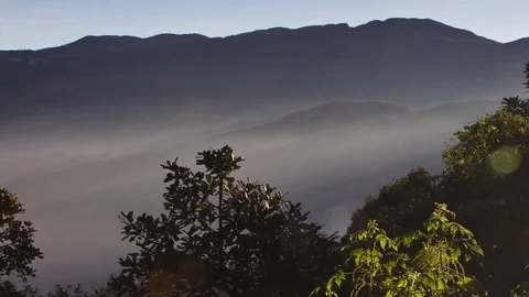 Timelaps of plants on the mountain against the backdrop of silhouettes. Andreev. Video stock 77846890