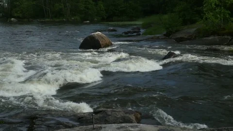 Timelaps, the rapid stream in the woods, forest stream running over rocks. Stock Footage 77833586