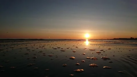 Timelaps sea Stock Footage 142901257