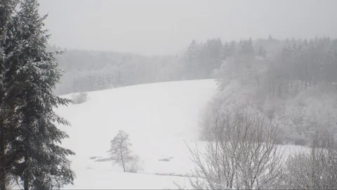 Timelaps Snow storm view on a mountain with forest Stock Footage 107882154