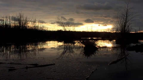Timelaps of the Sun Setting in a Marsh Stock Footage
