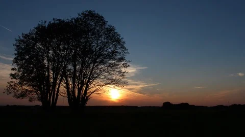 Timelaps of a sunset with tree Video stock 118253974