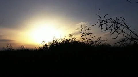 Timelapse 1 Video stock 11627054