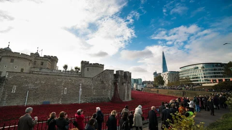 Timelapse in 1080 HD and 4K people at Poppies at the Tower of London Stock Footage 45431130