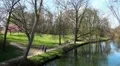 Timelapse 1st sunny Days in Spring 161600 HD Footage