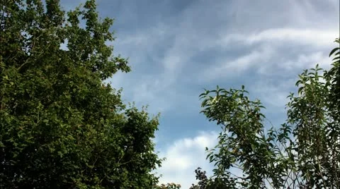 Timelapse 2 Video stock 11627578