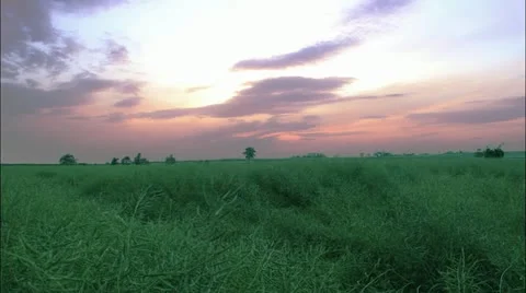 Timelapse 4. Video stock 11627603