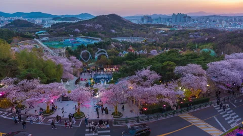 TimeLapse 4k E-World 83 Observatory Tower  Daegu South Korea -28 March 2021 Stock Footage 194277477