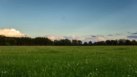 Timelapse 4k grass field with some clouds Video stock 70770160