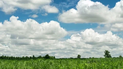 Timelapse 4K. The movement of clouds over clouds over the sugar cane fields. Stock Footage 76302784
