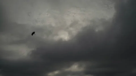 Timelapse, accelerated movement, gray clouds are carried away into the distance Stock Footage 248303931