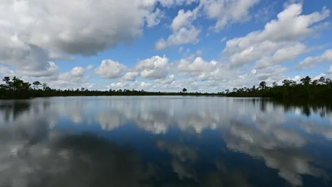 Timelapse of active sunny summer cloudscape over lake in Everglades 4K. Stock Footage 244895739