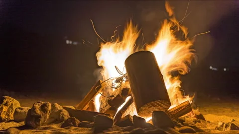 Timelapse - Adding logs to a Bonfire on a Beach Stock Footage 182309578