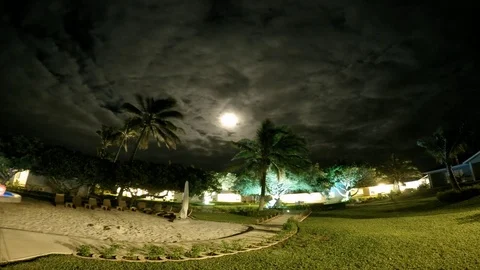 Timelapse adorable running through the moon on a background of clouds and palms Stock Footage 71405147