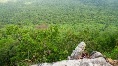 Timelapse : Aerial View Of Forest Mountains Covered In Mist Nature. Stock Footage 278163331