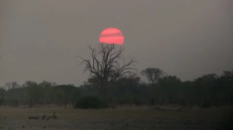 Timelapse African Sunset 3 Stock Footage 10591901