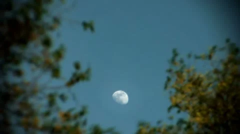 Timelapse afternoon moon 스톡 동영상 11586918