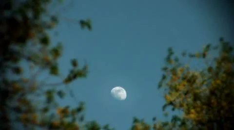 Timelapse afternoon moon Video stock 11606114