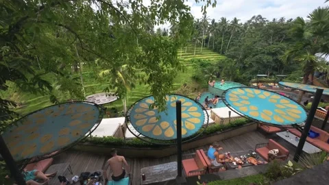 Timelapse of an agrotourism site with stack of pool, trees and rice field Stock Footage 237747180