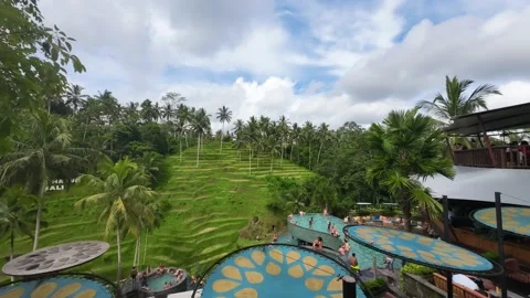 Timelapse of an agrotourism site with stack of pools, trees and rice field Stock Footage 237747220