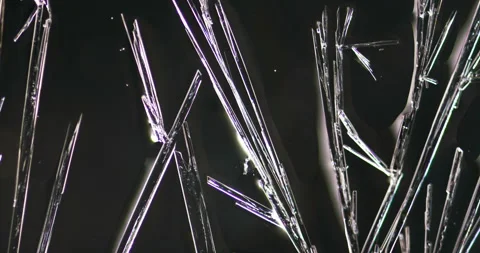 Timelapse of Ammonium oxalate crystallization under polarized light Stock Footage 116472745