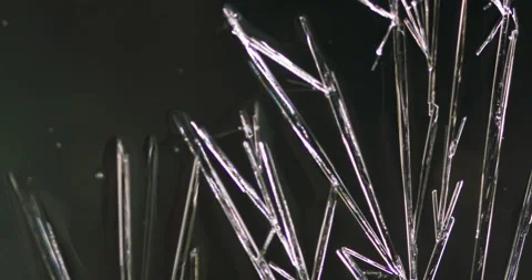 Timelapse of Ammonium oxalate crystallization under polarized light Stock Footage 116472931