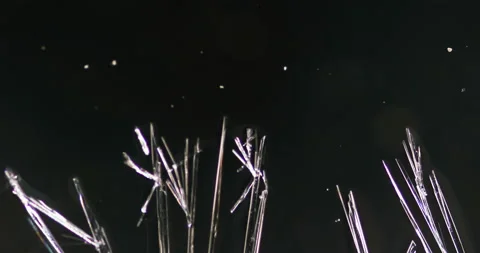Timelapse of Ammonium oxalate crystallization under polarized light Stock Footage 116473695