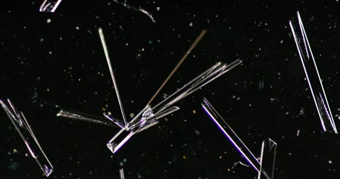 Timelapse of Ammonium oxalate crystallization under polarized light Stock Footage 116473828