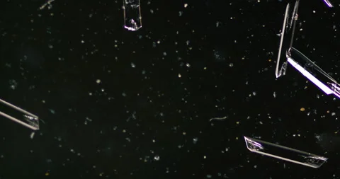 Timelapse of Ammonium oxalate crystallization under polarized light Stock Footage 116474017
