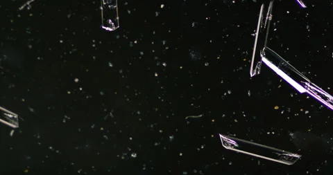Timelapse of Ammonium oxalate crystallization under polarized light Stock Footage 116474074