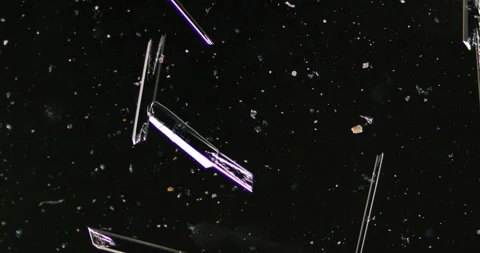 Timelapse of Ammonium oxalate crystallization under polarized light Stock Footage 116474122