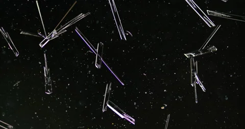 Timelapse of Ammonium oxalate crystallization under polarized light Stock Footage 116474375