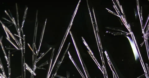 Timelapse of Ammonium oxalate crystallization under polarized light Stock Footage 116474414