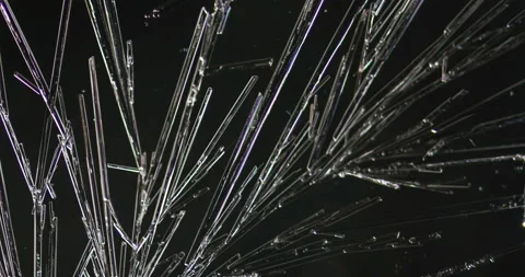 Timelapse of Ammonium oxalate crystallization under polarized light Stock Footage 116474470